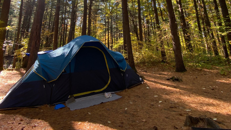 A tent in the fall woods of Bon Echo Park