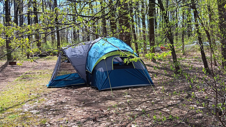 Campsite at Boulder Woods Campground in Green Lane, Pennsylvania