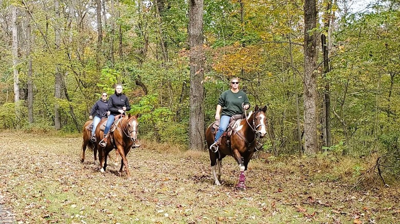 Three people on horseback in a heavily wooded area with autumn leaves, at Green Lake Park in Pennsylvania.