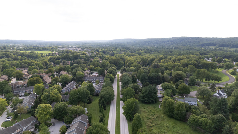 Aerial view of trees in Chesterbrook, Pennsylvania