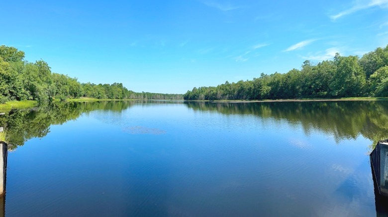 Mullica River, Wharton State Forest