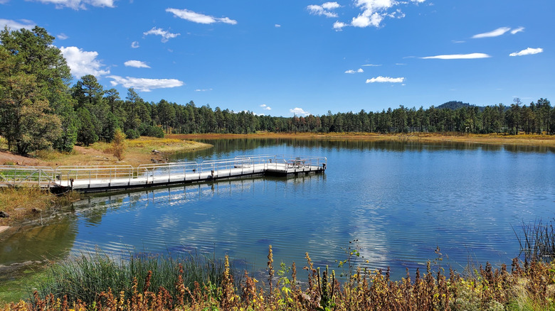 The pier at Woodland Lake Park in Arizona