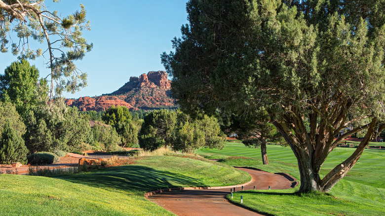 View from golf course in Village of Oak Creek