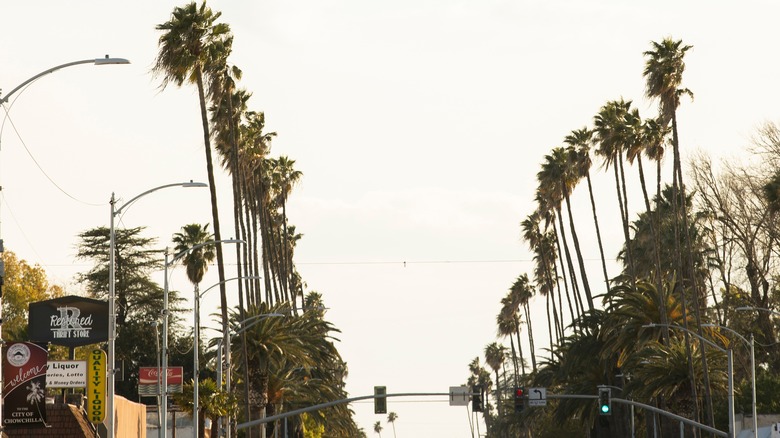 Robertson Boulevard in downtown Chowchilla, California