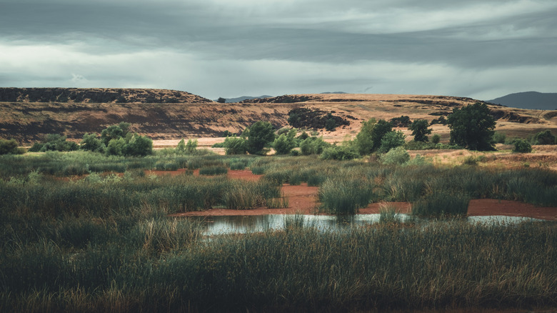 A hilly terrain at Black Butte Lake..