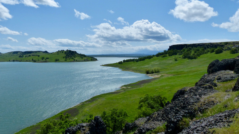 An aerial view of Black Butte Lake with a green shoreline.