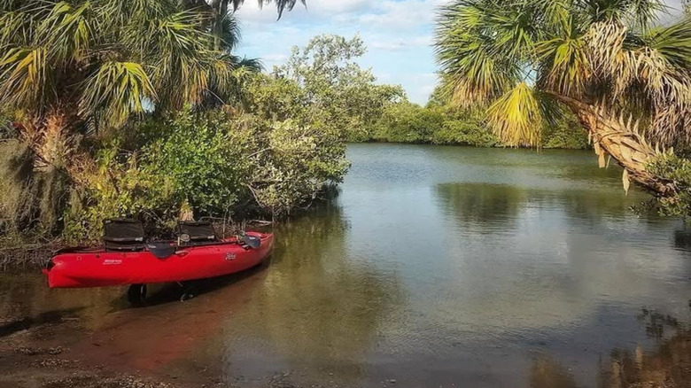 Kayak in water surrounded by palm trees
