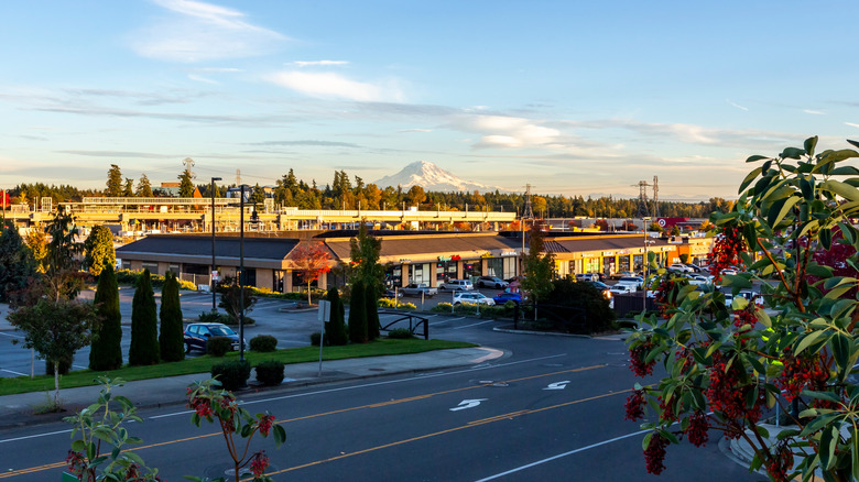 Federal Way, Washington, with Mount Rainier in the background