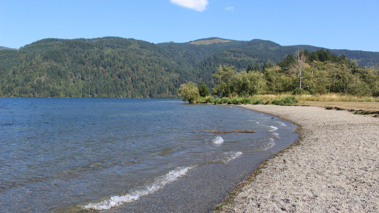 A swimmable shoreline in Lake Whatcom.