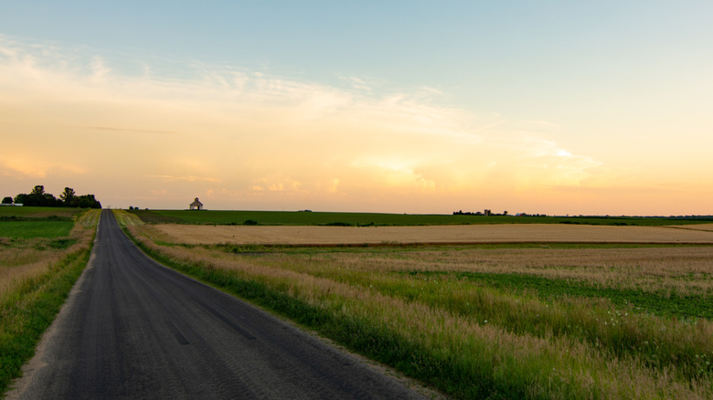 An open country road in rural Illinois