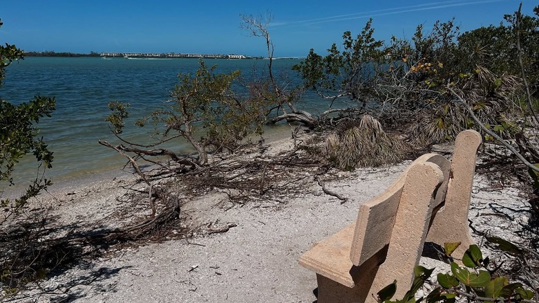 Bench overlooking a sandy natural beach in Grove City, FL