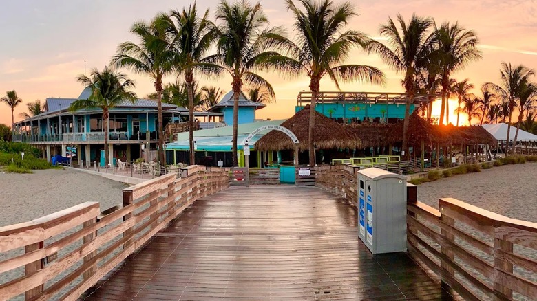 A view of the beach town behind the Venice Pier