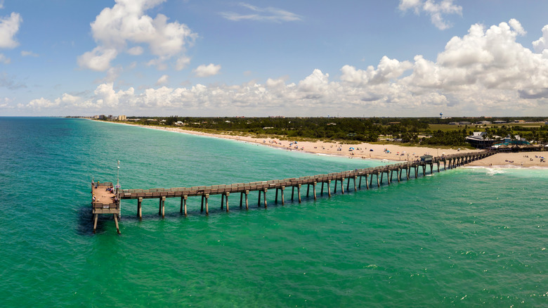 The Venice Pier in Venice, Florida