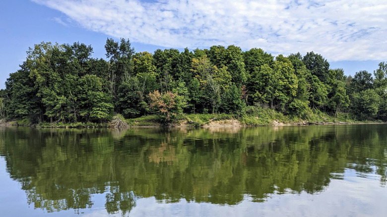 trees seen from Delaware Lake, Delaware State Park, Ohio