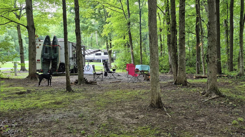 campground in Delaware State Park, Ohio