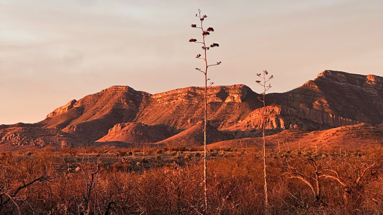 mountain landscape at Kartchner Caverns State Park