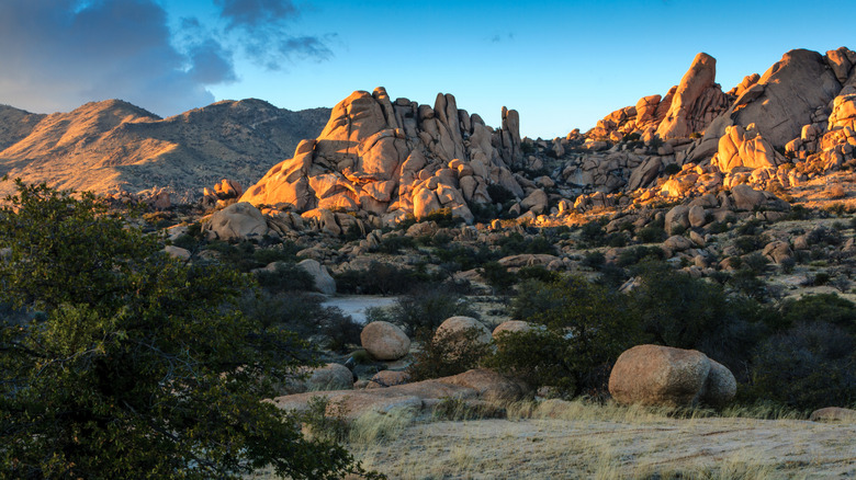 rocky landscape around Benson, Arizona
