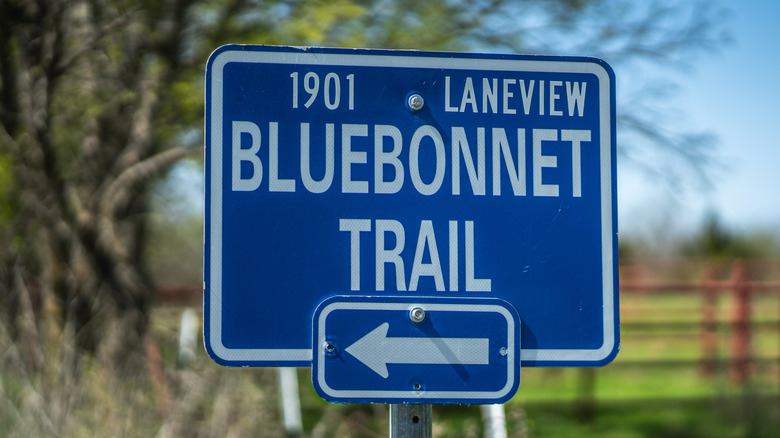 Sign for the Ennis Bluebonnet Trail