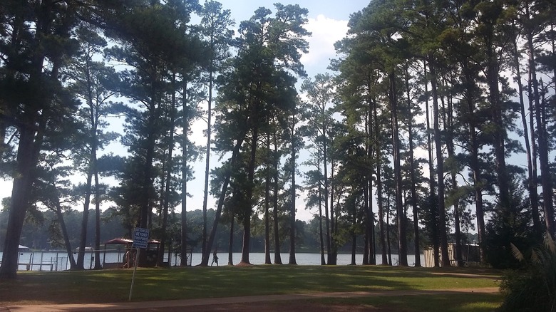 Lake Jacksonville in Texas seen from its tree-lined shore.