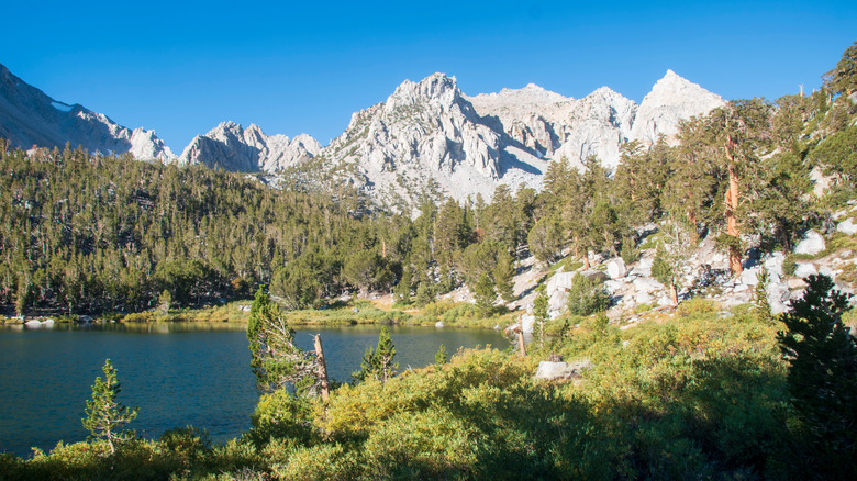 Rugged mountain peaks and lake surrounded by forest