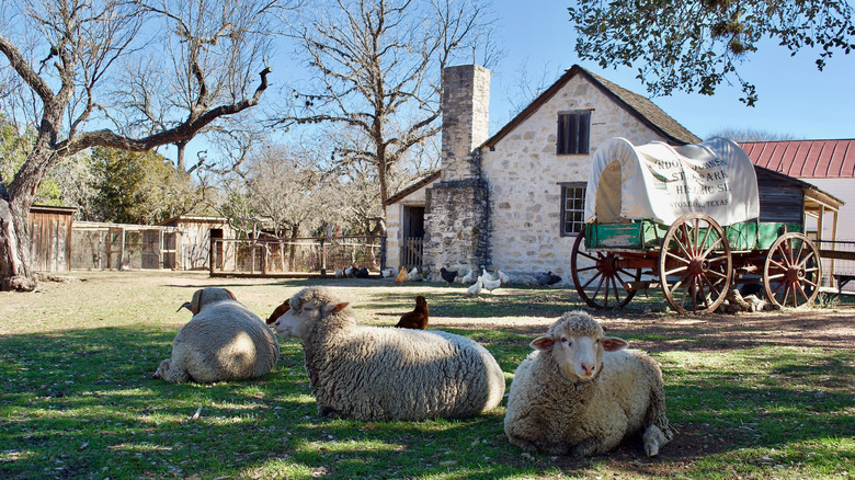 the LBJ Ranch near Johnson City, Texas