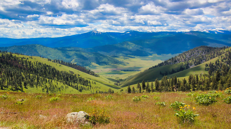 View of the Bitterroot Valley with trees and mountains, cloudy sky.