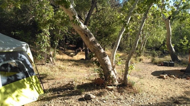 A tent with trees at the Chavez Crossing Campground in Sedona