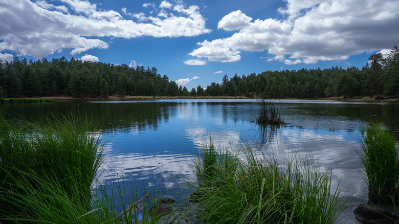 Clouds reflect on Riggs Flat Lake in the Pinaleño Mountains, Arizona