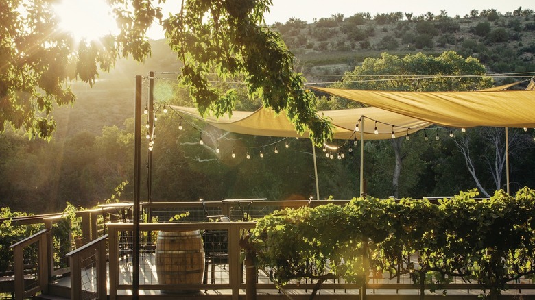 A winery terrace surrounded by trees in Arizona