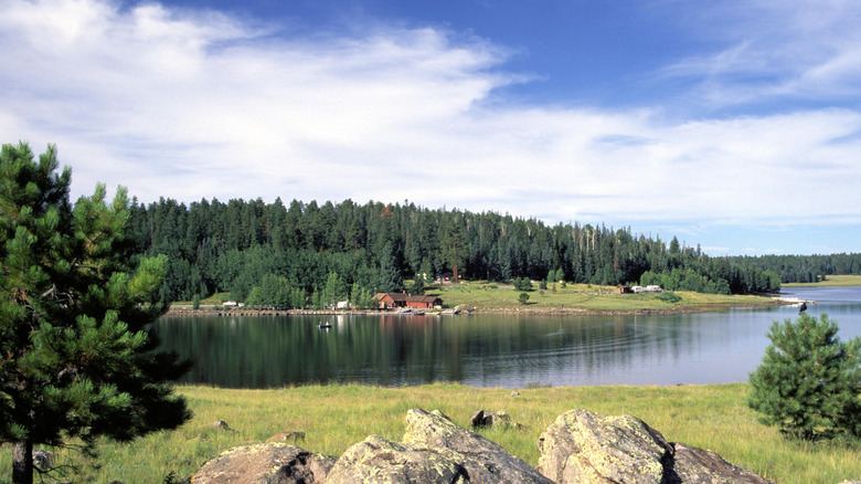 Big Lake in Arizona, with buildings in the distance