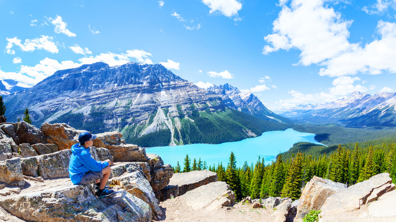 A hiker looks down at Peyto Lake from Bow Summit