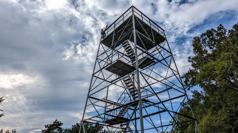The 40-foot observation tower at the Ruth and Paul Henning Conservation Area, Branson, Missouri, with a person admiring the views from the top