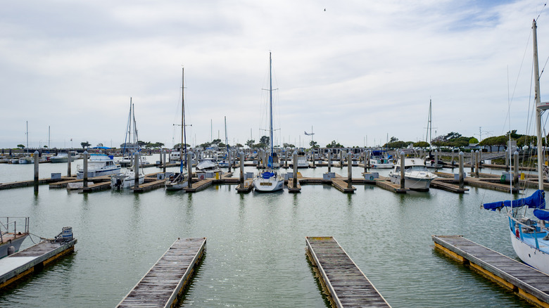Boats moored at the San Leandro Marina, California