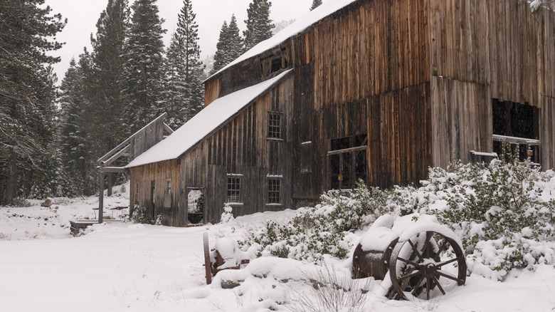 Snow covers an old Gold Mining building in the Plumas-Eureka State Park