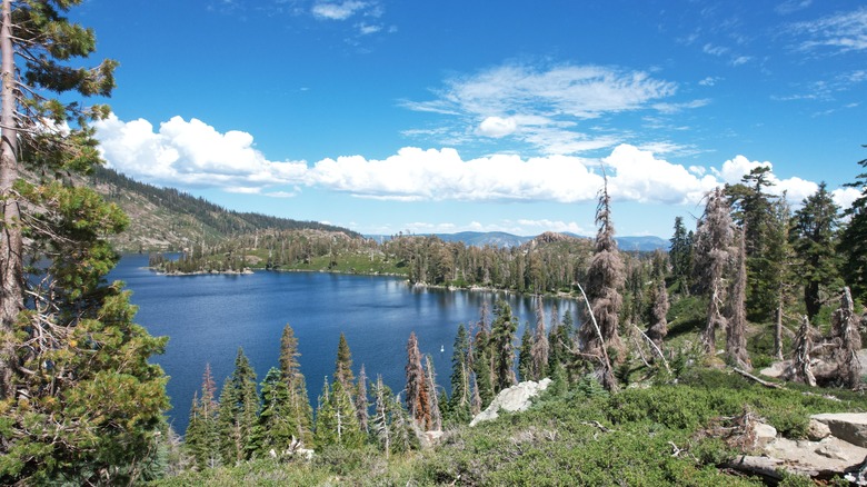 A lake within the Eureka Plumas forest