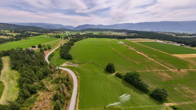 Fields in the North Okanagan Valley