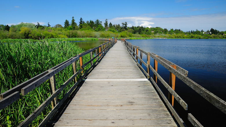Boardwalk over Swan Lake in British Columbia