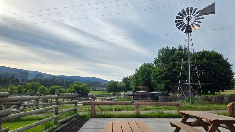Patio at Rustler's Table
