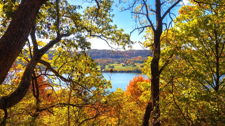 View of the Ohio River through fall trees on a trail in Bender Mountain Nature Preserve in Cincinnati, Ohio.