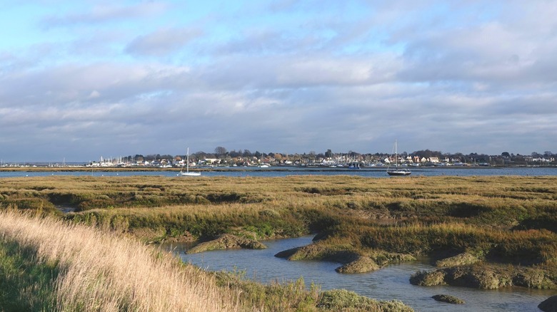 Looking across the marshy Blackwater estuary toward the village of West Mersea