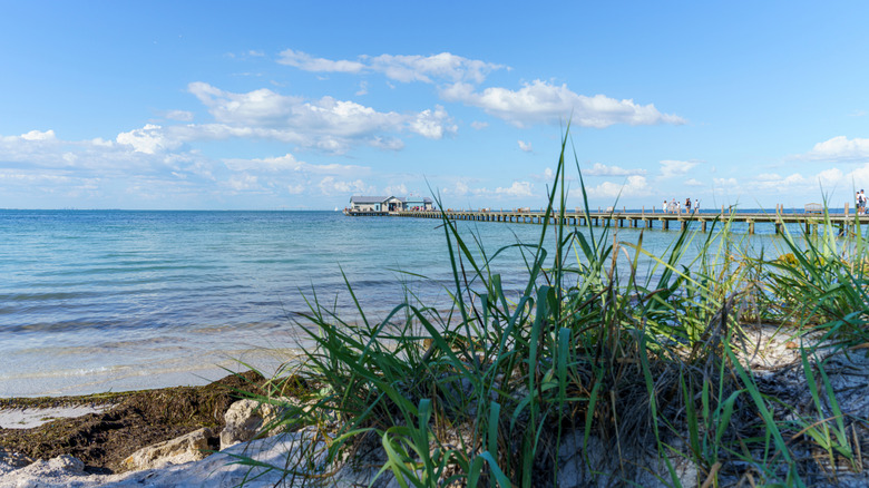Fishing pier off the Gulf coast near Perry, FL