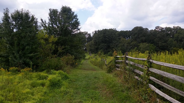 A grassy trail follows a wooden fence near Artillery Ridge Campground.