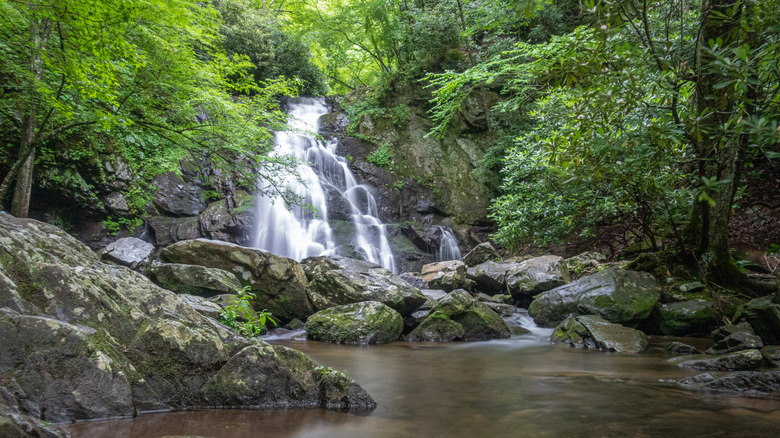 The Spruce Flats Falls cascades over the rocks in a secluded part of the Great Smoky Mountains National Park