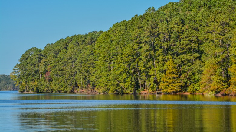 water with trees in the background