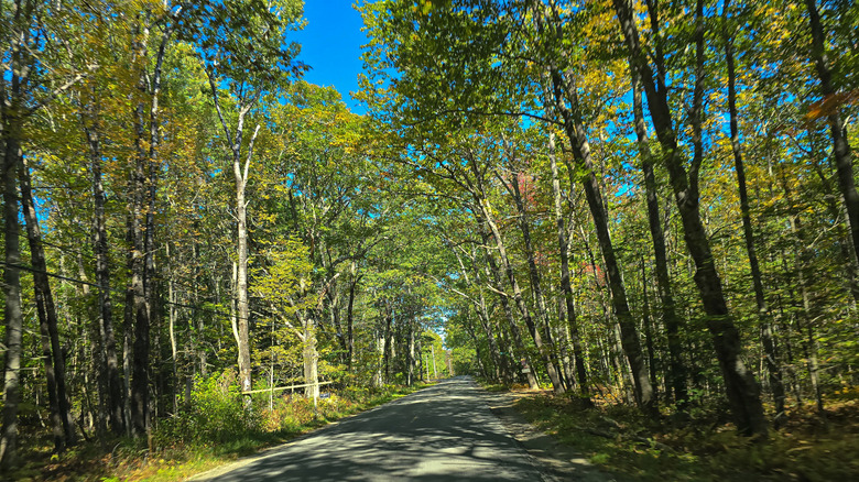 Rural road in Maine