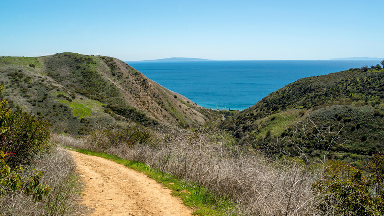 A mountaintop view of the Pacific Ocean from the ridge over Solstice Canyon, captured from Rising Sun Trail