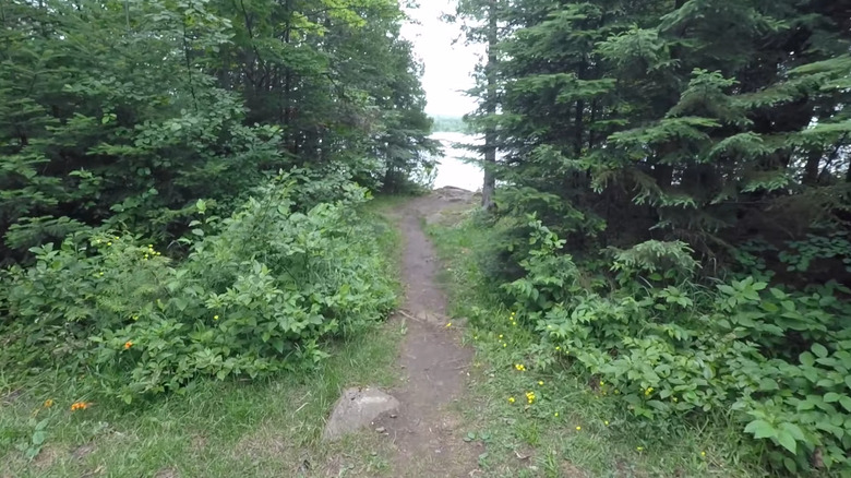 Trail from the Toohey Lake Rustic Campground to the water