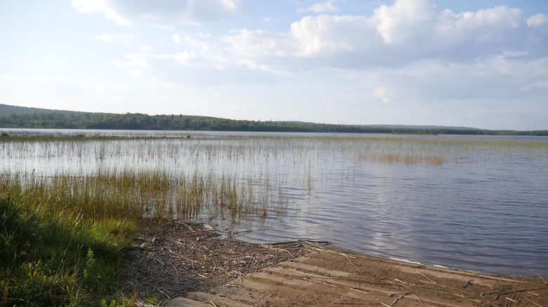Toohey Lake in Superior National Forest