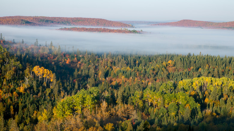 Tofte region if Superior National Forest