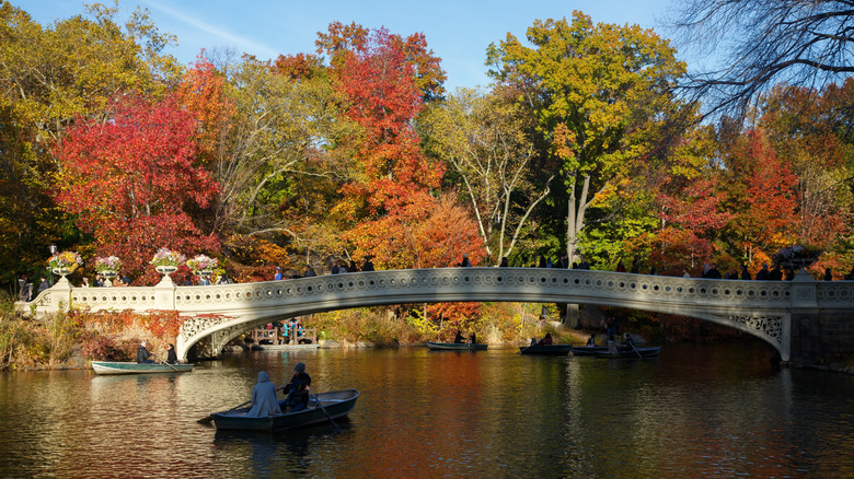 Bow Bridge in Central Park with fall foliage